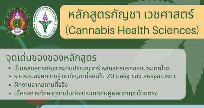หลักสูตรปริญญาตรี หลักสูตรกัญชาเวชศาสตร์ รับกระแสกัญชาเสรี