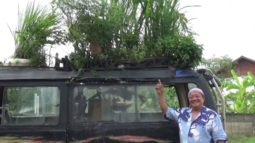 น่าทึ่ง!