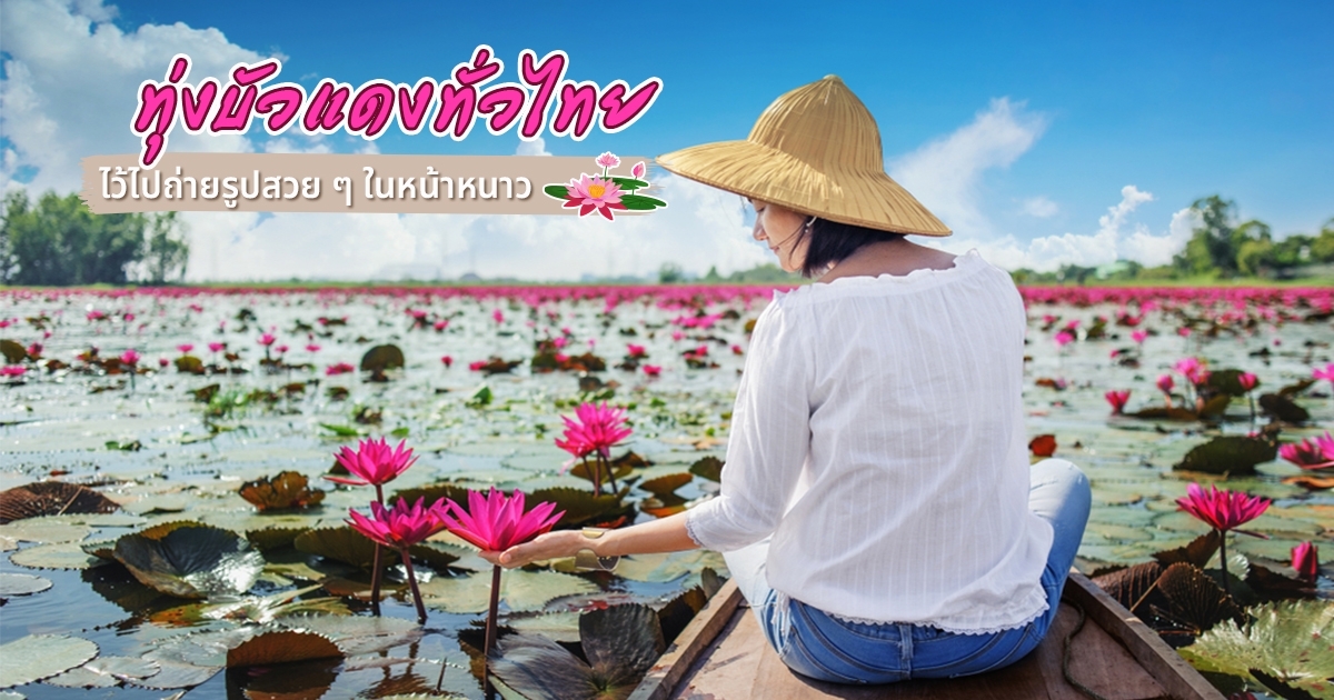 ทุ่งบัวแดง บึงละหาน  เป็นแหล่งท่องเที่ยวเชิงเกษตร เป็นแลนด์มาร์คที่น่าสนใจอีกแห่งหนึ่งของ จ.ชัยภูมิ