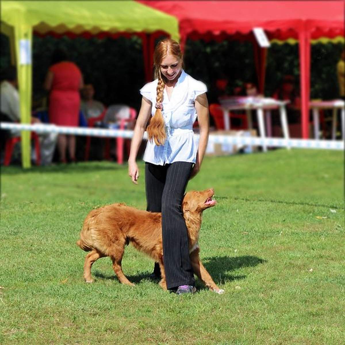 โยนไข่ : Egg Throwing  สนุกๆกันเถอะเพื่อนๆ เกมส์นี้เราต้องยิง หรือโยนไข่ใส่กำแพง ที่มีแม่ไก่คอยเป็นผู้รักษาไข่ หากเราโยนไม่ดีพอ แม่ไก่ก็จะรับได้