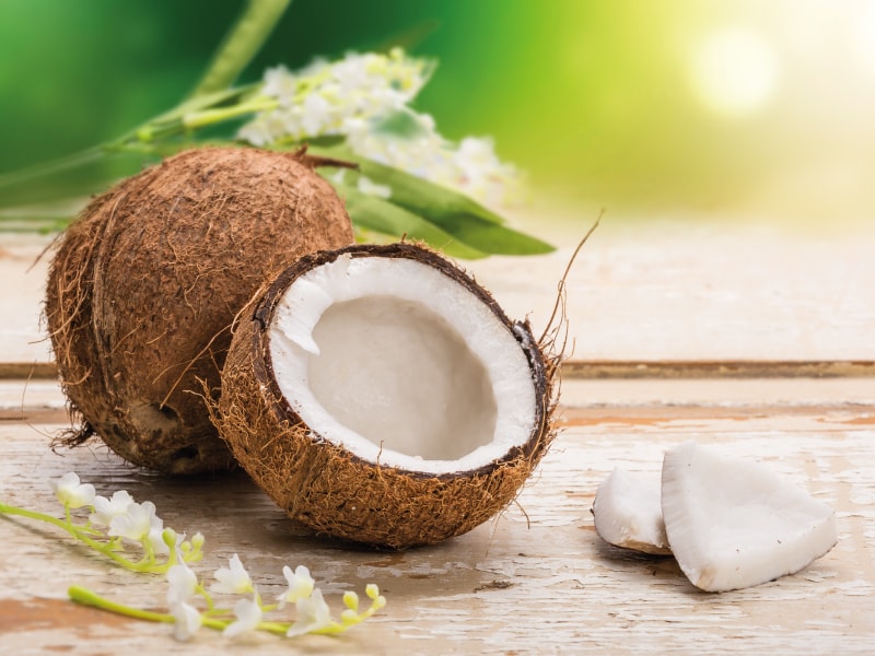 มะพร้าว ให้สรรพคุณบำรุงร่างกาย ช่วยขับพยาธิ ช่วยบำรุงสมอง ป้องกันสมองเสื่อม