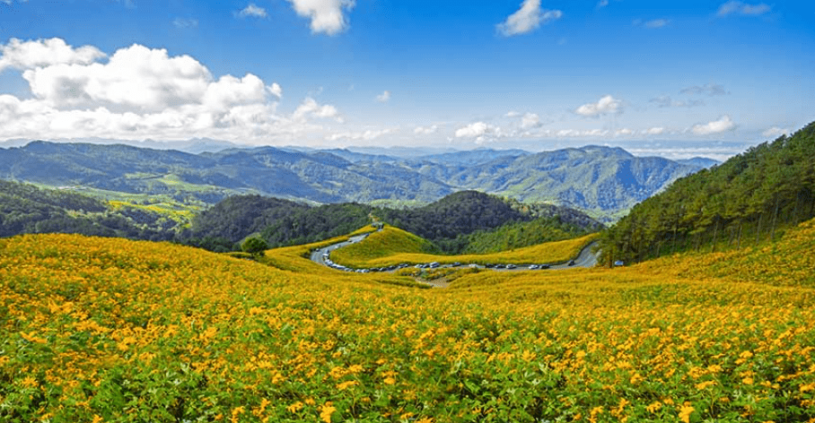 ที่เที่ยวหน้าหนาว มาแนะนำกันหน่อยค่ะ นั่นก็คือ ทุ่งดอกบัวตอง ดอยแม่อูคอ ใน แม่ฮ่องสอน ค่า เพราะดอกไม้สวยๆ กำลังจะบานเต็มที่แล้ว ถ้าอยากรู้ว่าที่นี่จะสวยขนาดไหน ก็มาเที่ยวกันเลยค่ะ