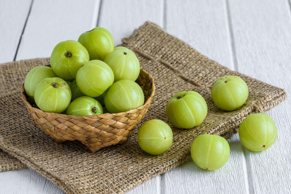 สมุนไพรพื้นบ้าน มะขามป้อม ผลไม้ที่ได้มีการนำมาทำเป็นยาแผนโบราณได้เป็นอย่างดี นิยมนำมาใช้กันมาอย่างยาวนาน