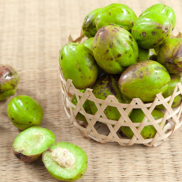 สมุนไพรไทยพื้นบ้าน สมอไทย เป็นอีกหนึ่งสมุนไพรที่ได้รับความนิยมอย่างมาก ช่วยบำบุงรักษาร่างกายได้อย่างดีมาก